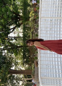 YOUR NEW FANTASY HERE STACEY - Transsexual escort in Manila Photo 12 of 16