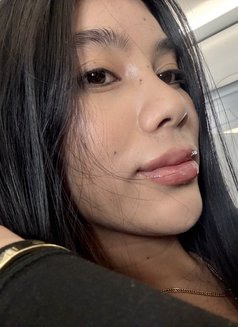 Your newest babygirl megan is arrive ! - Acompañantes transexual in Manila Photo 29 of 30