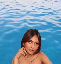 Your Newest Sexy Pornstar - escort in Kuala Lumpur