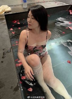 Your Personal Referrer, Xiaoyi, Will Ens - escort in Taipei Photo 1 of 13