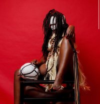 Your Pet Toy - Acompañantes masculino in Dubai