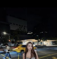 Your Princess kim 🤍 - Transsexual escort in Taipei