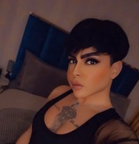 Your Queen شام - Acompañantes transexual in Dubai