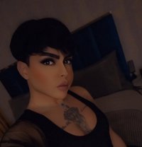 Your Queen شام - Acompañantes transexual in Dubai