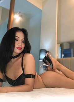 Your Sexy Star - Transsexual escort in Angeles City Photo 13 of 17