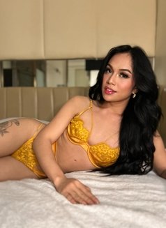 Your Sexy Star - Acompañantes transexual in Angeles City Photo 30 of 30