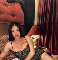 StarEllis - Acompañantes transexual in Angeles City