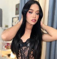 Your Sexy Star - Transsexual escort in Angeles City