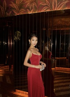 Your sexylove - puta in Seoul Photo 25 of 27