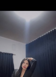 MELİSSA ALVA TOP GİRL AND MİSTRESS - Acompañantes transexual in Bali Photo 11 of 16