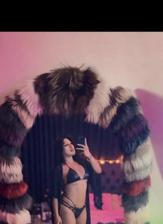 MELİSSA ALVA TOP GİRL AND MİSTRESS - Acompañantes transexual in Bali Photo 14 of 16