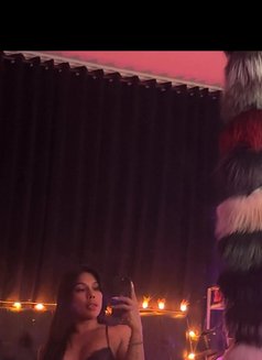 MELİSSA ALVA TOP GİRL AND MİSTRESS - Acompañantes transexual in Bali Photo 16 of 16