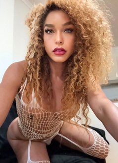 Your Ts Desire's fanTasy Ts Coco! - Transsexual escort in Perth Photo 29 of 30