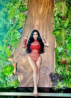 Your Ultimate Dream Girl has arrived - escort in Ho Chi Minh City Photo 20 of 28