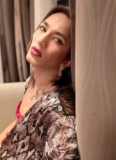 your unstoppable fetish queen CD - Transsexual escort in Hong Kong Photo 23 of 30