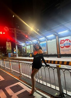 Your Vietnam Baby Girl - puta in Ho Chi Minh City Photo 4 of 10