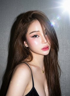 Your widest dream kaycee in town 🇯🇵 - escort in Tokyo Photo 19 of 19