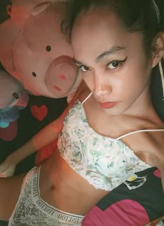 Your Young Mistress Top Trans - Acompañantes transexual in Manila Photo 4 of 5