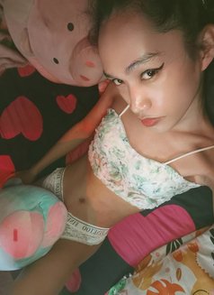 Your Young Mistress Top Trans - Acompañantes transexual in Manila Photo 5 of 5