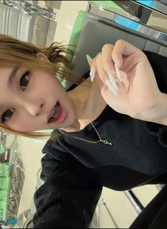 Yourhotkimyamate - escort in Taipei Photo 1 of 7