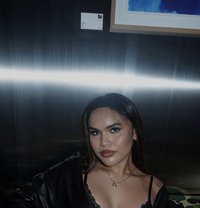 Yourislandgirl - Transsexual escort in Bangkok