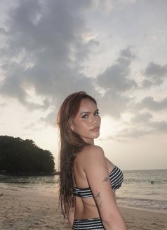 Versa Dreamy Lady Boy - Transsexual escort in Dubai Photo 3 of 6