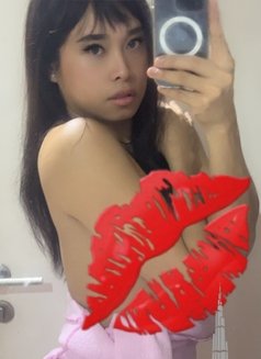 yourladyboybigD@69 - Transsexual escort in Bangkok Photo 14 of 17