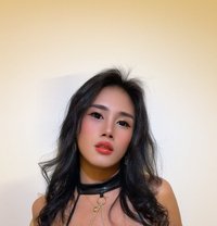 #CAMSHOW#CONTENT#ESCORT - Transsexual escort in Manila