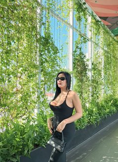 YourAsianSweetTsKaye - Transsexual escort in Bangkok Photo 27 of 27