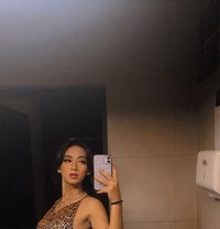 YOUR QUEEN MODEL SERVICE - Acompañantes transexual in Bali