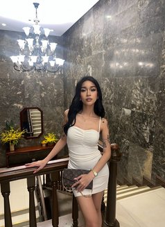 Ysha - escort in Taipei Photo 3 of 20