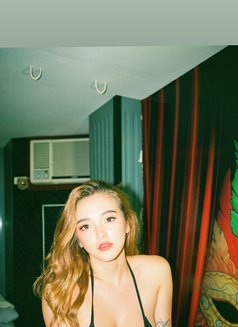 Yuki babygirl in manila - Transsexual escort in Manila Photo 26 of 26