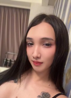 Yuki just arrived - Acompañantes transexual in Taipei Photo 25 of 26