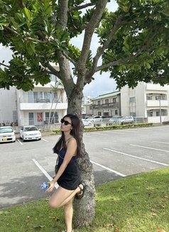 Yuki okinawa arigato - escort in Okinawa Island Photo 7 of 8