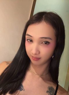 Maria - Acompañantes transexual in Manila Photo 4 of 17