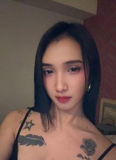 Yuki new taste just arrived - Transsexual escort in Taipei Photo 20 of 20