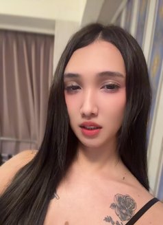 YukiNewTasteHere - Transsexual escort in Manila Photo 22 of 23