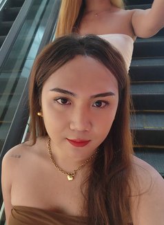 Yulia - Transsexual escort in Davao Photo 11 of 12