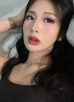Yumeko - Transsexual escort in Manila Photo 1 of 6