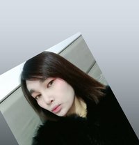 Yumix - Transsexual escort in Bangkok