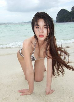 Yuri TOP 69 - Transsexual escort in Bangkok Photo 22 of 22