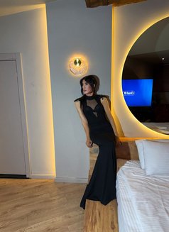 Aliyee - Male escort in İstanbul Photo 3 of 5