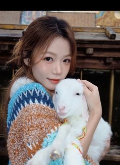 Yuyu School Girl - escort in Hong Kong Photo 1 of 6