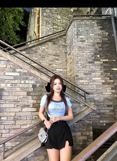 Yuyu School Girl - escort in Hong Kong Photo 6 of 6