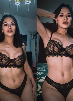 Yve$Vell-WILD-TOP-Mistress-VVIP poppers - Transsexual dominatrix in Dubai Photo 8 of 16