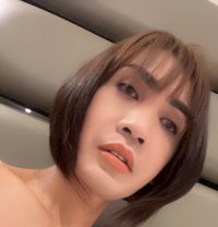 Yvon Super Big Dick - Transsexual escort in Kuala Lumpur