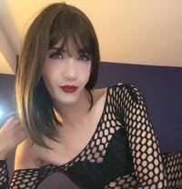 Yvonne - Transsexual escort in Singapore