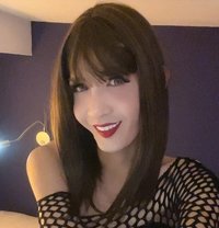 Yvonne - Transsexual escort in Singapore