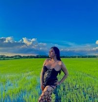 Yzabella - Transsexual escort in Kuala Lumpur