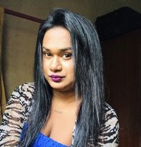 Zaara( Cam Session Available) - Transsexual escort in Colombo